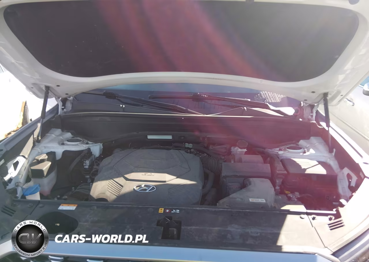 2022 Hyundai Palisade Calligraphy VIN:KM8R7DHE7NU385448 - 10