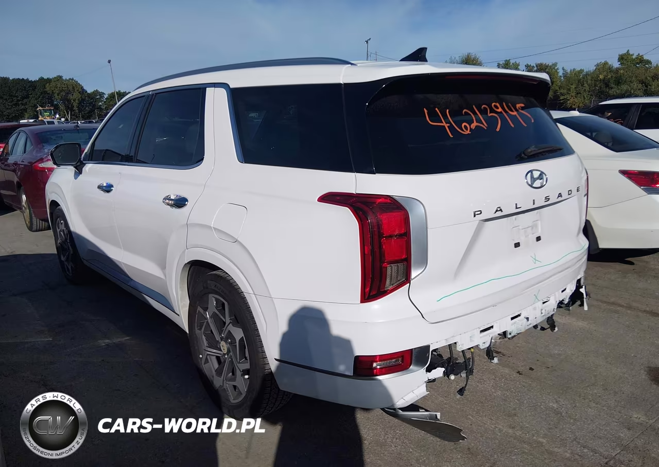 2022 Hyundai Palisade Calligraphy VIN:KM8R7DHE7NU385448 - 3