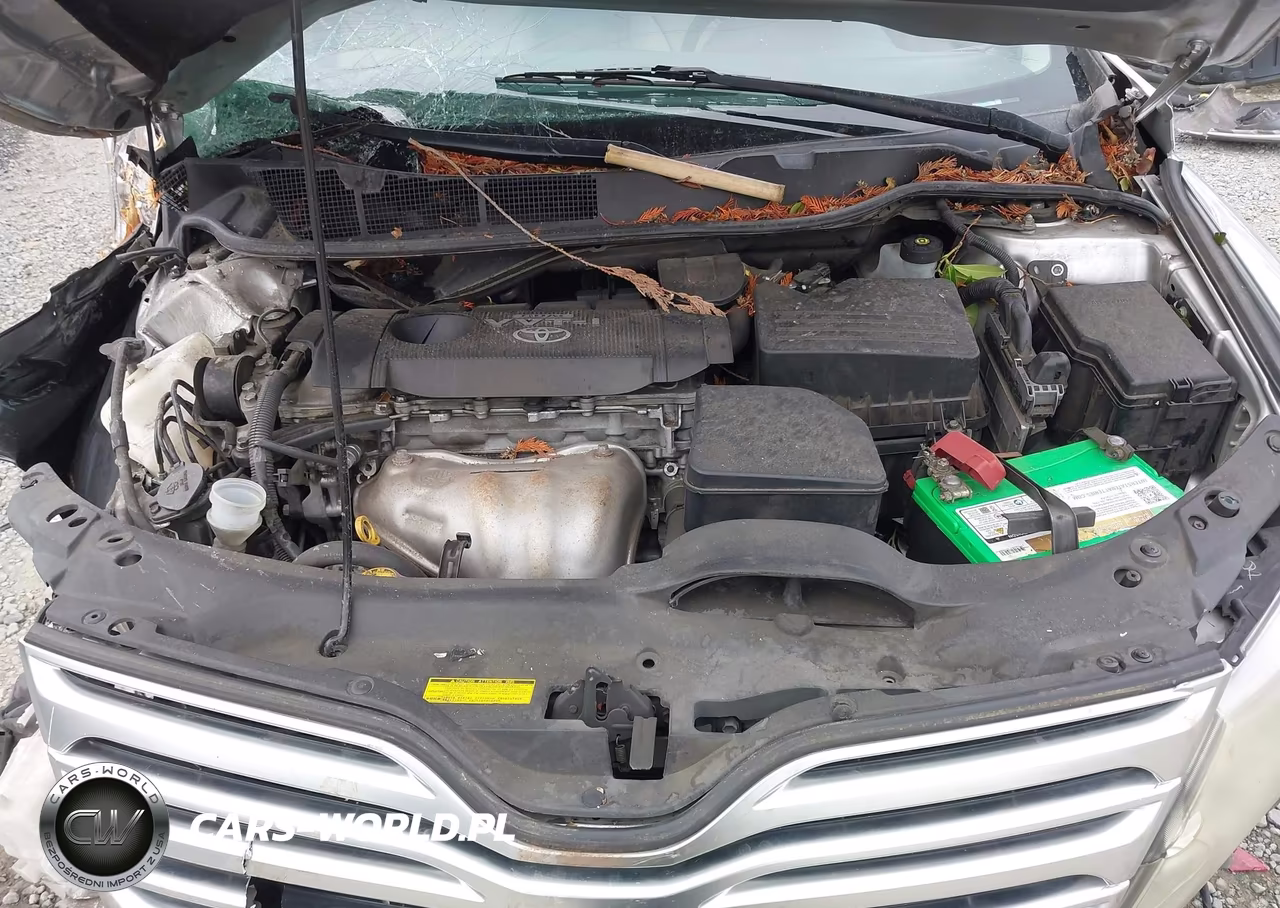 2009 Toyota Venza VIN:4T3BE11A89U002014 - 10