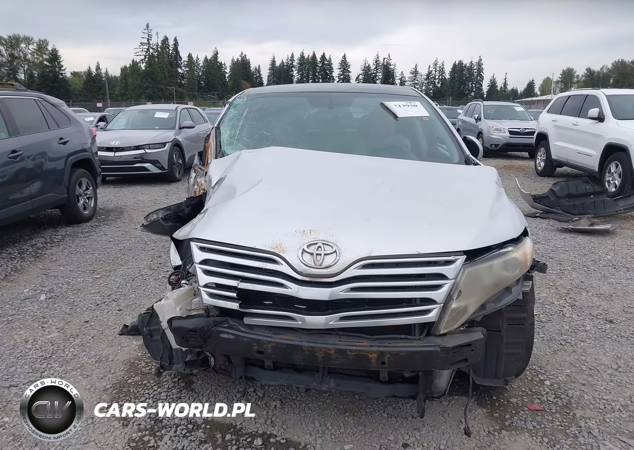 2009 Toyota Venza VIN:4T3BE11A89U002014 - 12