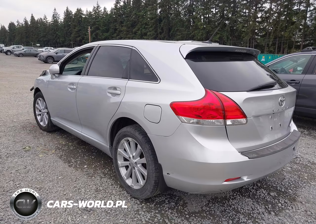 2009 Toyota Venza VIN:4T3BE11A89U002014 - 3