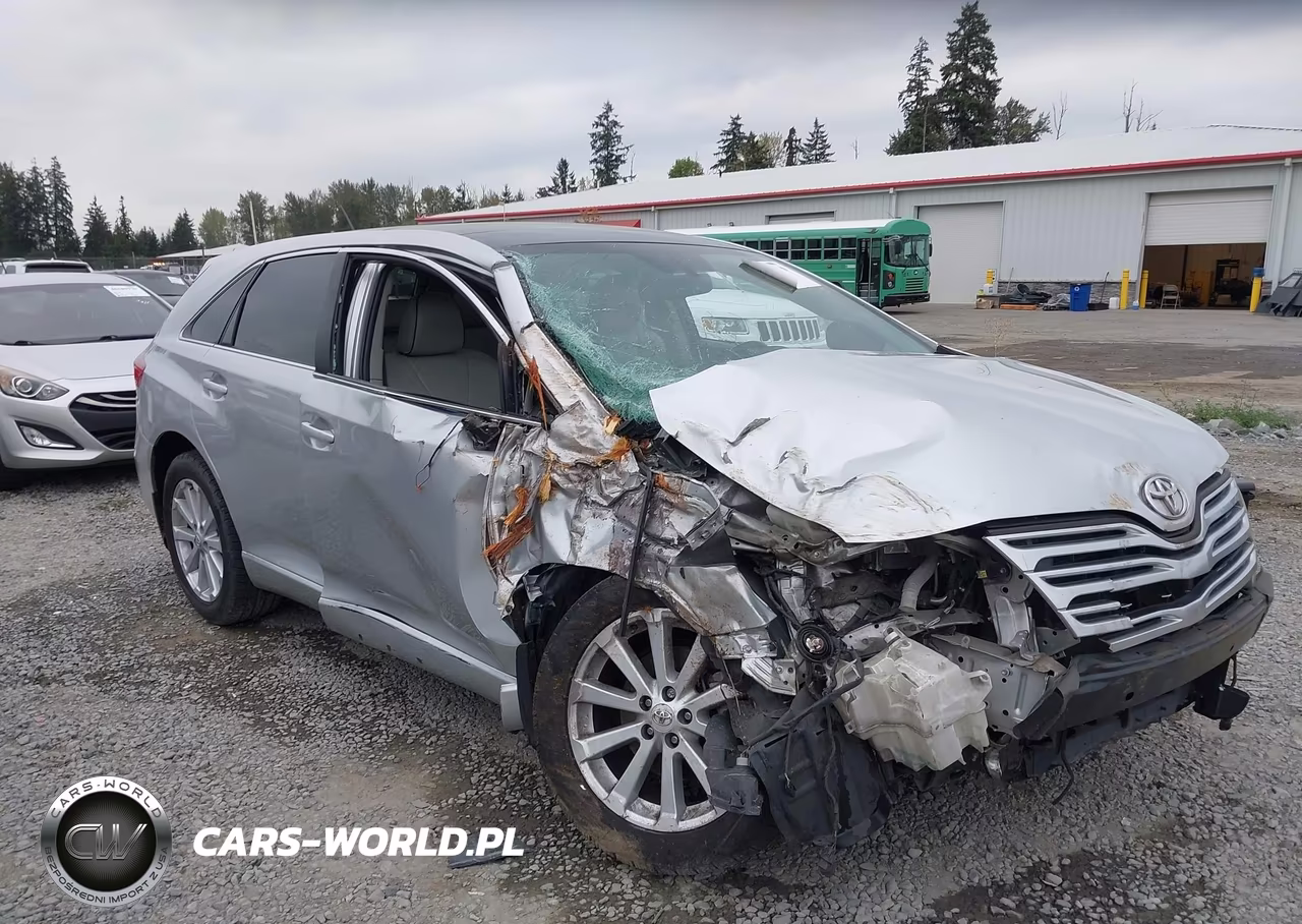2009 Toyota Venza VIN:4T3BE11A89U002014 - 6