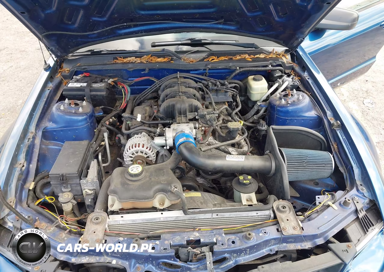 2007 Ford Mustang V6 Deluxe-V6 Premium VIN:1ZVFT80N675196886 - 10