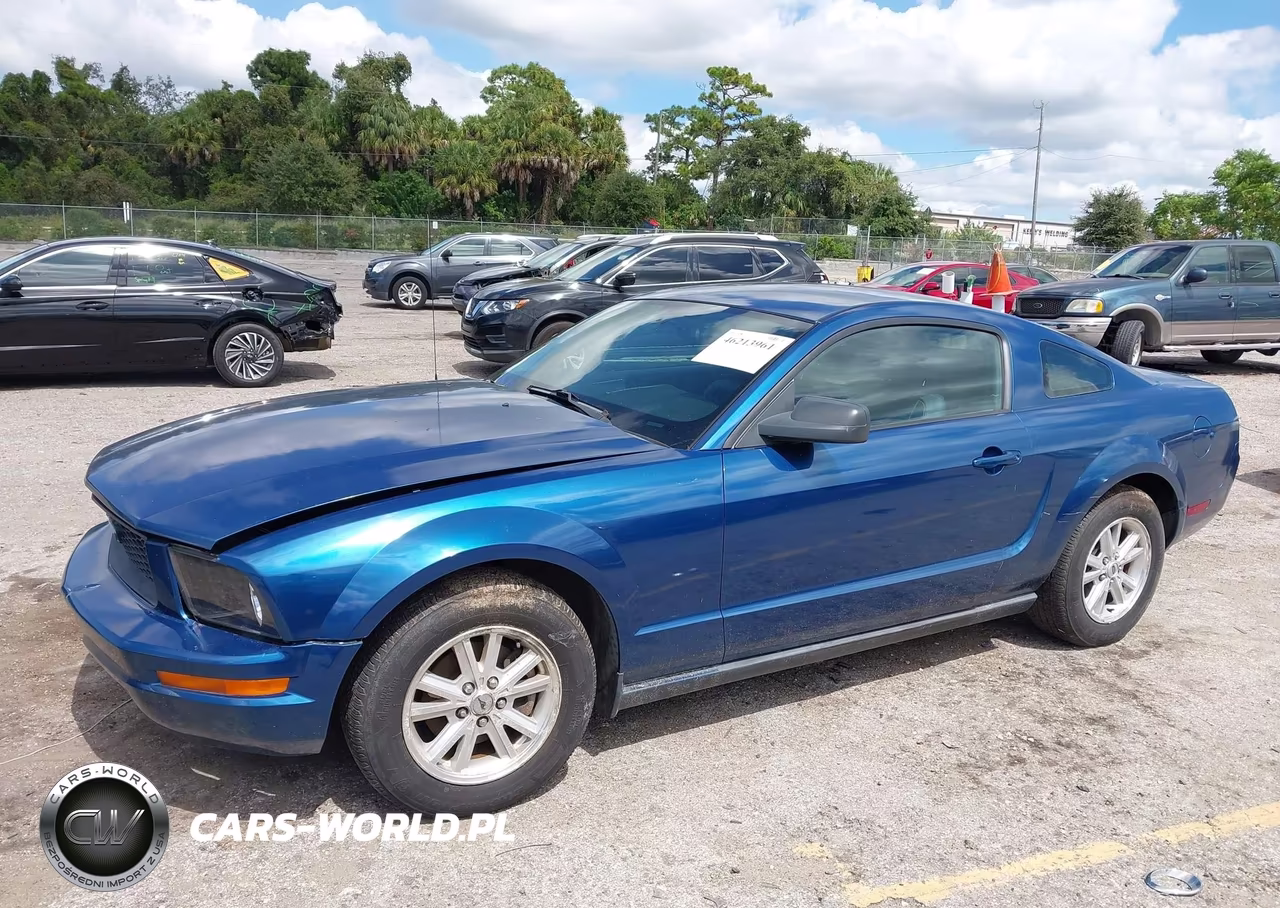 2007 Ford Mustang V6 Deluxe-V6 Premium VIN:1ZVFT80N675196886 - 2