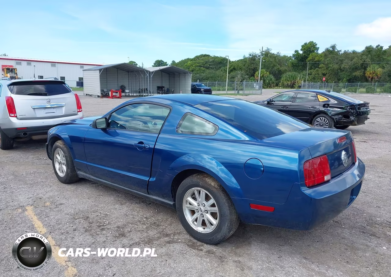2007 Ford Mustang V6 Deluxe-V6 Premium VIN:1ZVFT80N675196886 - 3