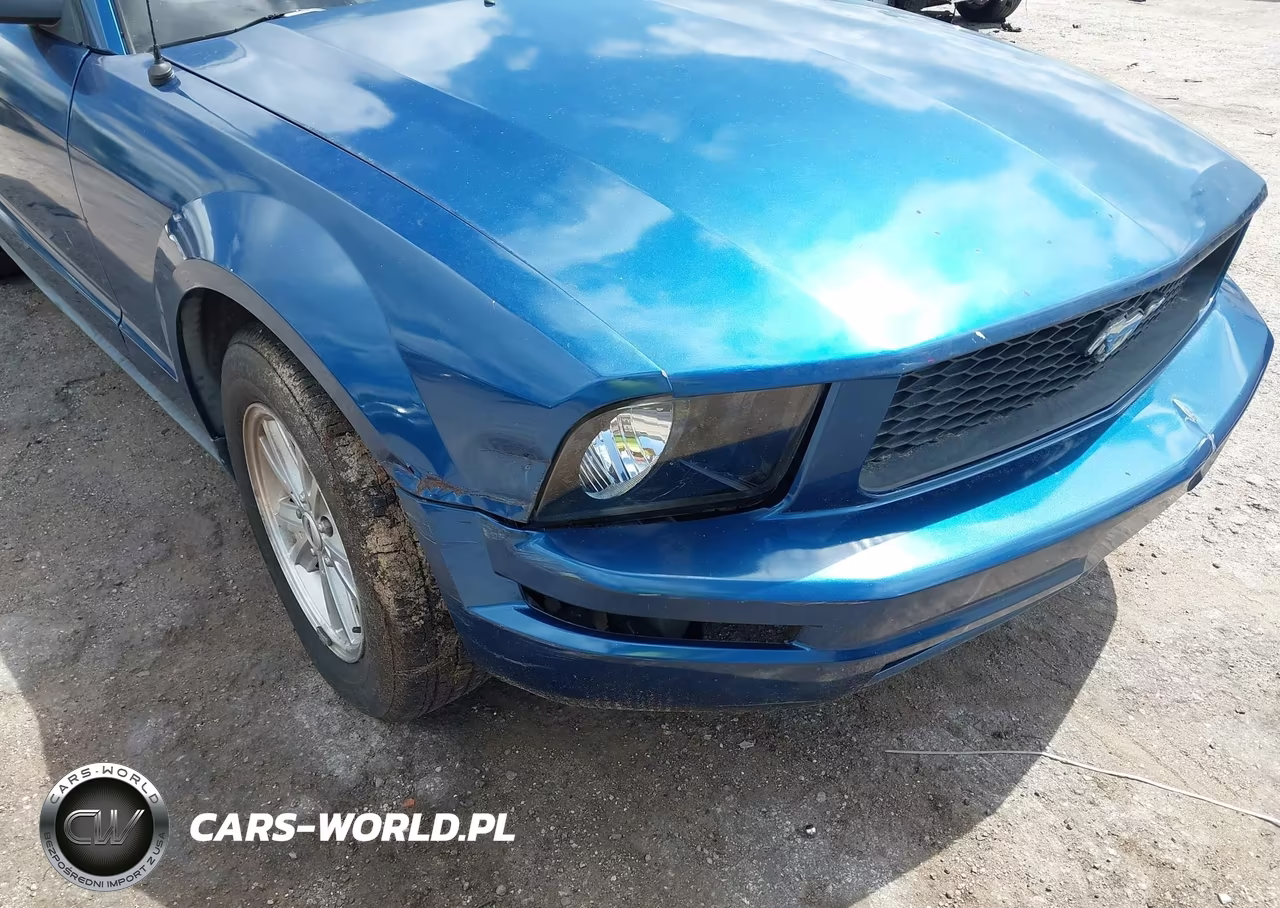 2007 Ford Mustang V6 Deluxe-V6 Premium VIN:1ZVFT80N675196886 - 6