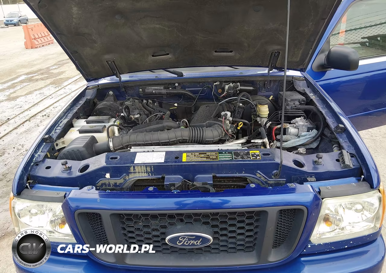 2004 Ford Ranger Edge-Tremor-Xl-Xlt VIN:1FTYR14U54PA19314 - 10