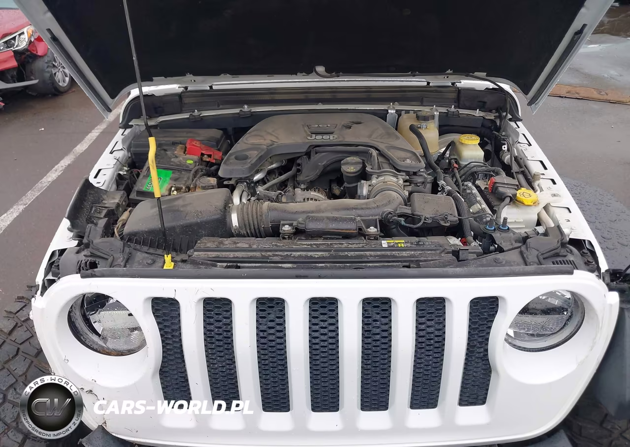 2019 Jeep Wrangler Unlimited Sport S 4X4 VIN:1C4HJXDG0KW557636 - 10