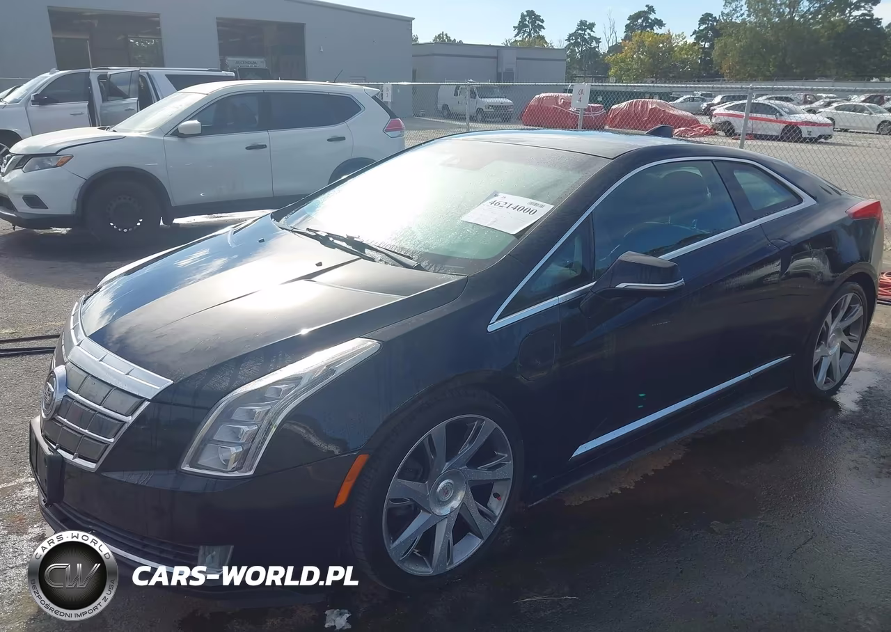 2014 Cadillac Elr Standard VIN:1G6RM1E49EU600693 - 2