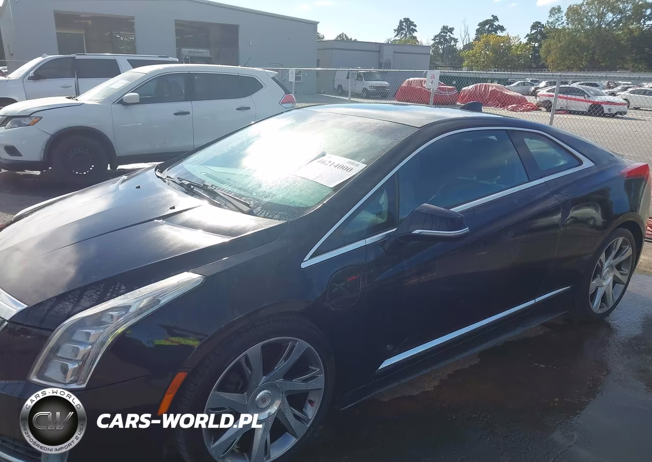 2014 Cadillac Elr Standard VIN:1G6RM1E49EU600693 - 6