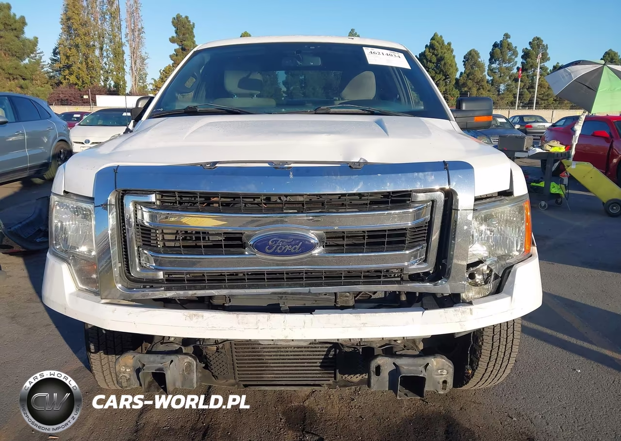 2013 Ford F-150 Xlt VIN:1FTFX1CT9DFD04321 - 13