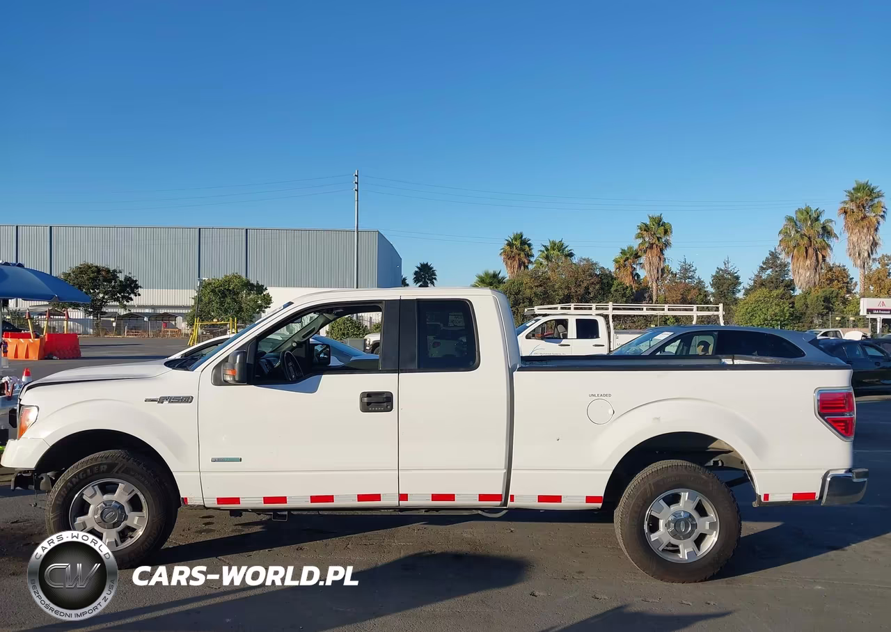 2013 Ford F-150 Xlt VIN:1FTFX1CT9DFD04321 - 15