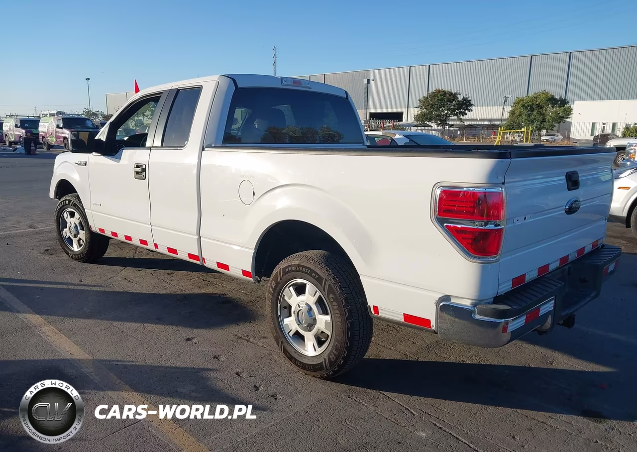 2013 Ford F-150 Xlt VIN:1FTFX1CT9DFD04321 - 3