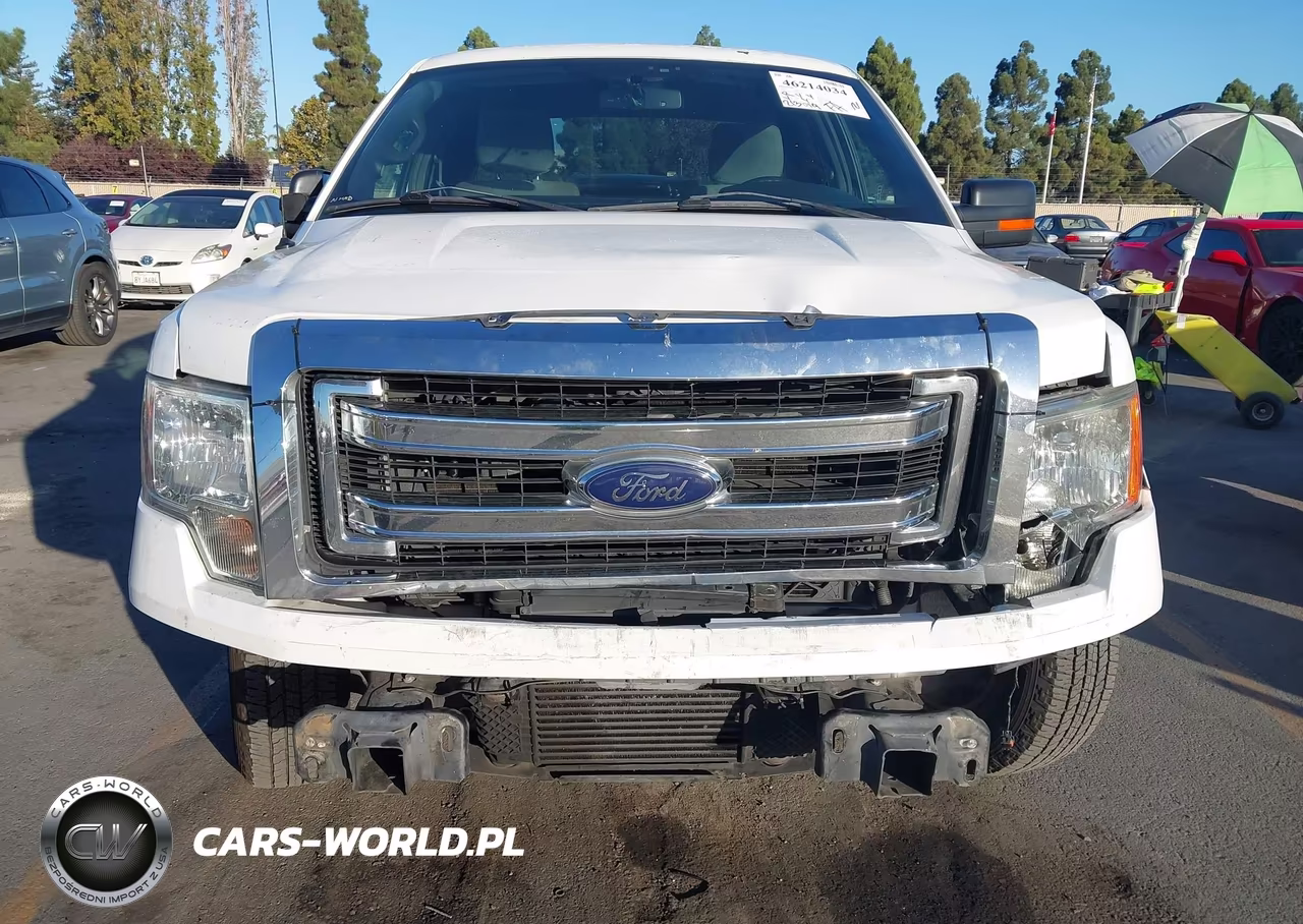 2013 Ford F-150 Xlt VIN:1FTFX1CT9DFD04321 - 6