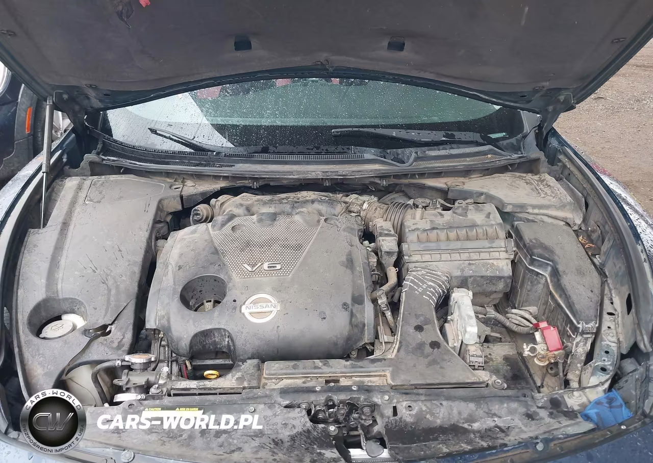 2010 Nissan Maxima 3.5 S VIN:1N4AA5AP2AC810519 - 10