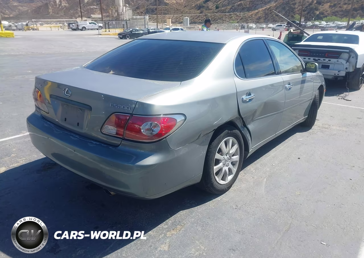 2003 Lexus Es 300 VIN:JTHBF30G836008806 - 4