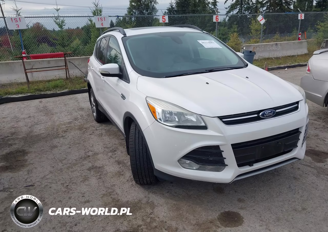 2013 Ford Escape Sel