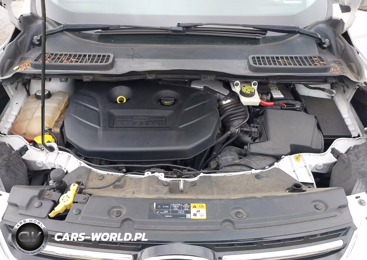 2013 Ford Escape Sel VIN:1FMCU9H94DUA69213 - 10