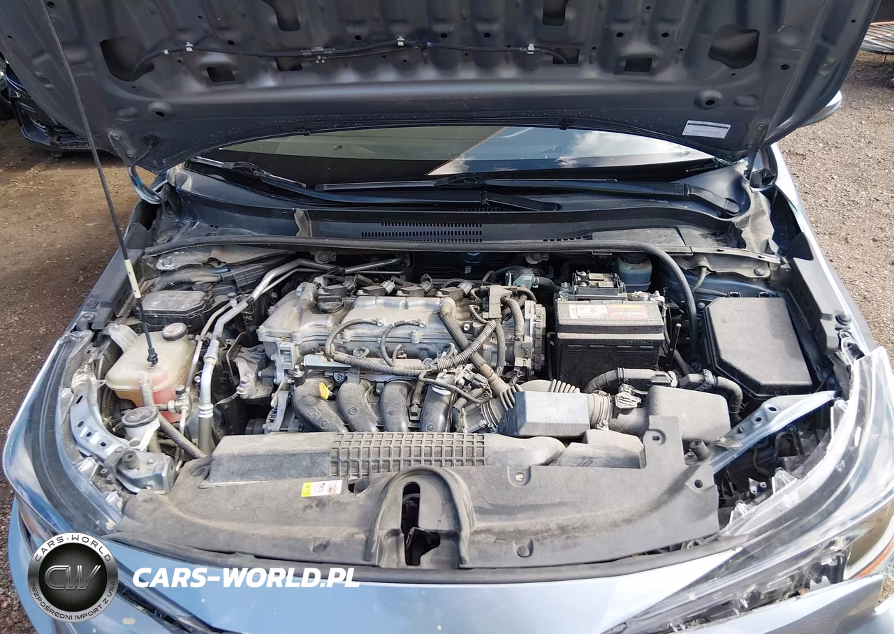 2020 Toyota Corolla Le VIN:JTDEPRAE1LJ018733 - 10