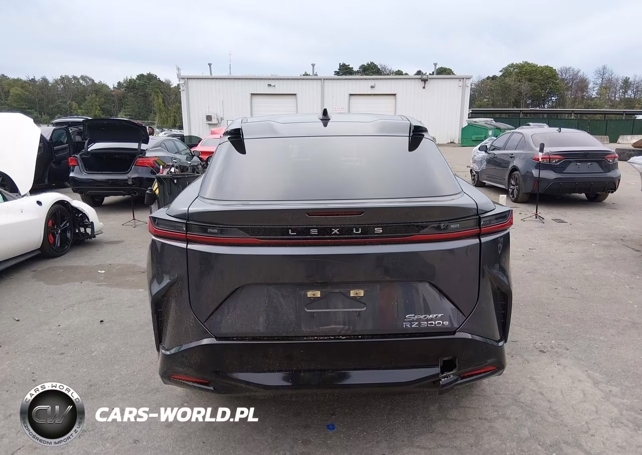 2024 Lexus Rz 300E Premium VIN:JTJABABB2RA003845 - 16