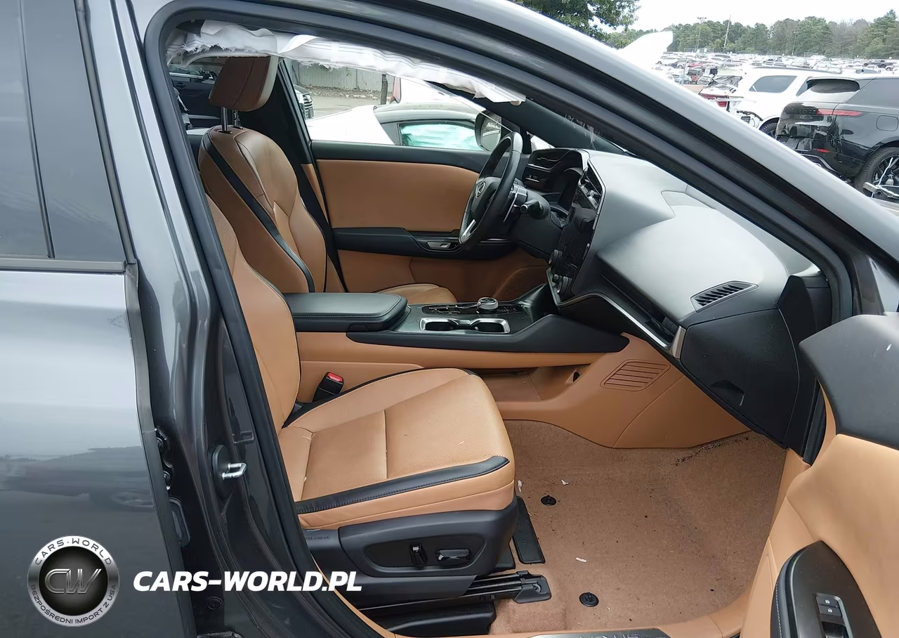 2024 Lexus Rz 300E Premium VIN:JTJABABB2RA003845 - 5