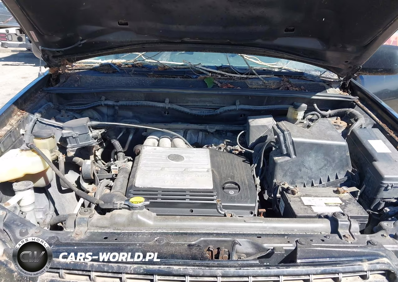 2001 Toyota Highlander V6 VIN:JTEGF21A710020386 - 10