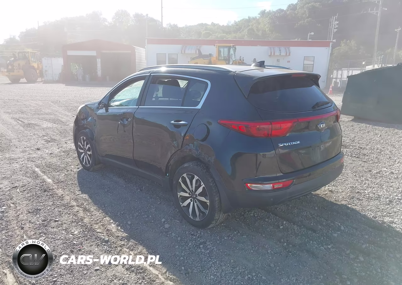 2017 Kia Sportage Ex VIN:KNDPNCAC9H7109487 - 3