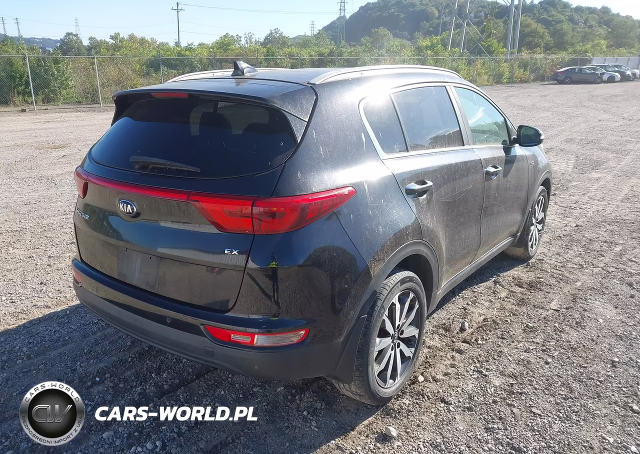 2017 Kia Sportage Ex VIN:KNDPNCAC9H7109487 - 4