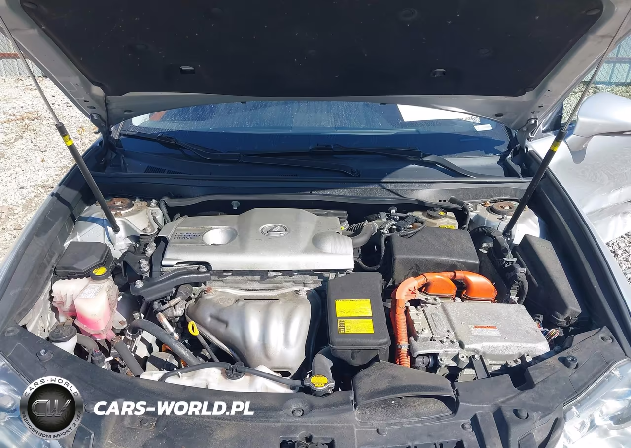 2013 Lexus Es 300H VIN:JTHBW1GG7D2008704 - 10