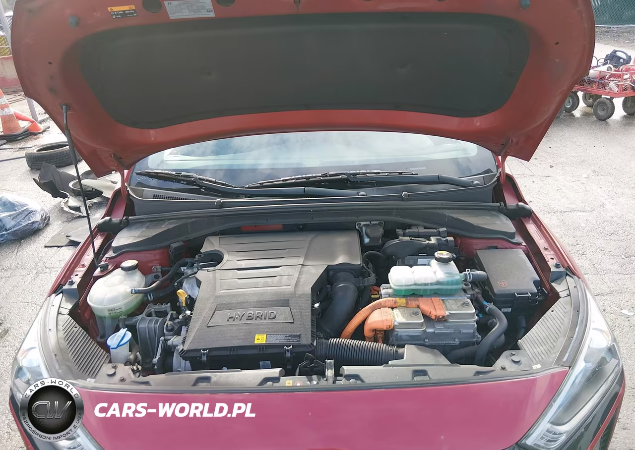 2019 Hyundai Ioniq Hybrid Sel VIN:KMHC75LC5KU117608 - 10