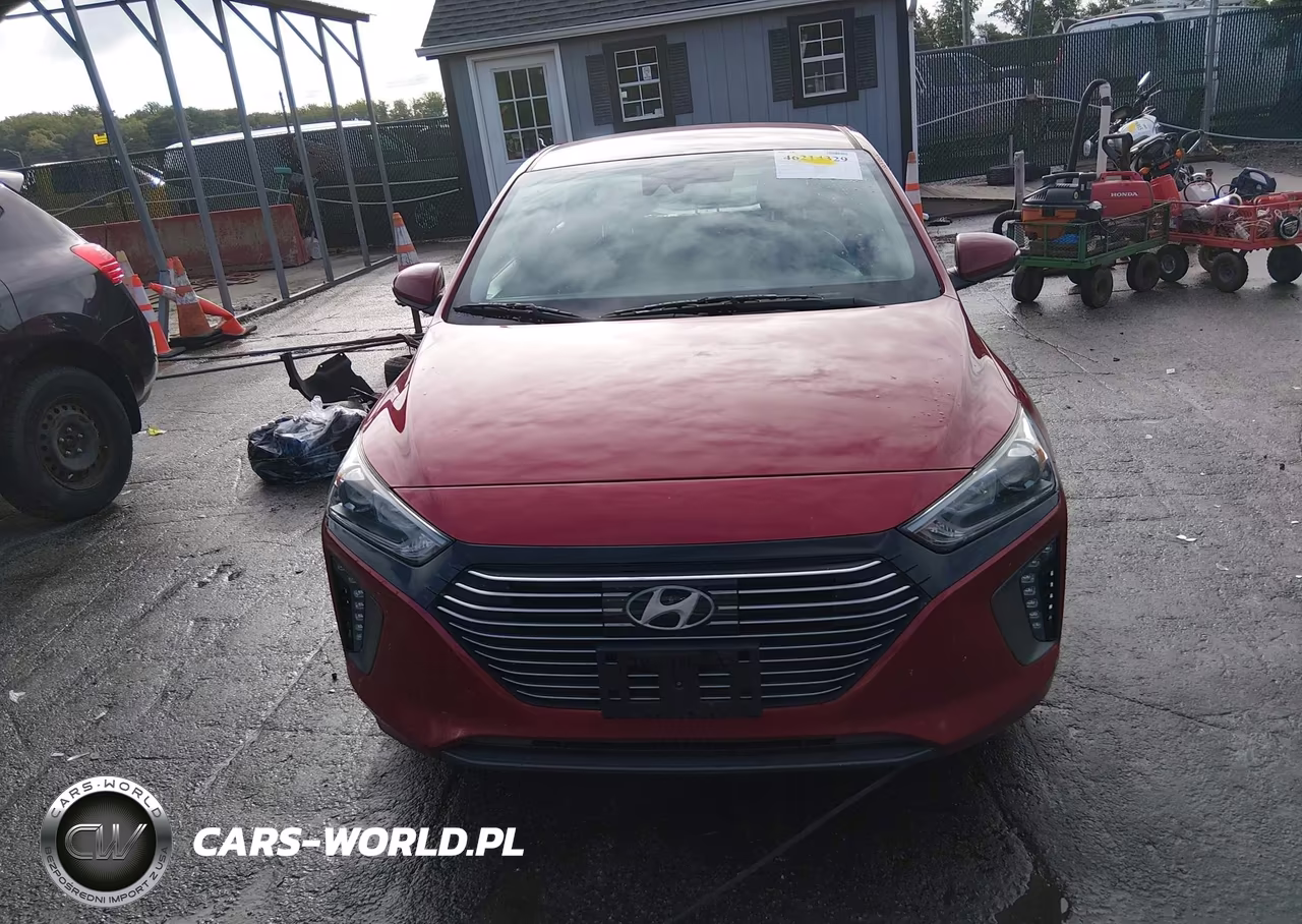 2019 Hyundai Ioniq Hybrid Sel VIN:KMHC75LC5KU117608 - 13