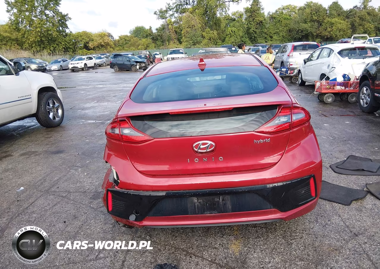 2019 Hyundai Ioniq Hybrid Sel VIN:KMHC75LC5KU117608 - 17