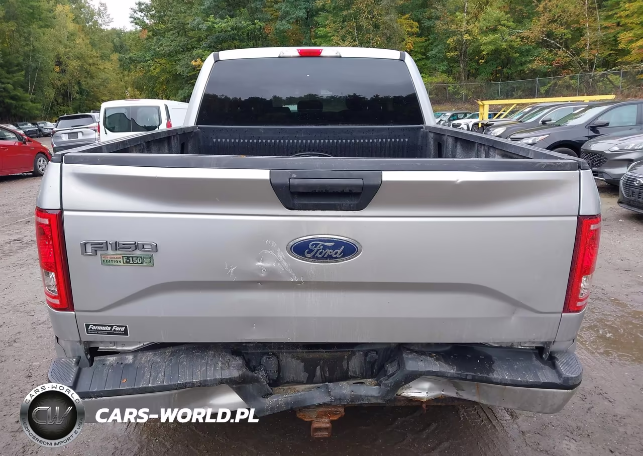 2017 Ford F-150 Xl VIN:1FTEX1EPXHFC74540 - 16