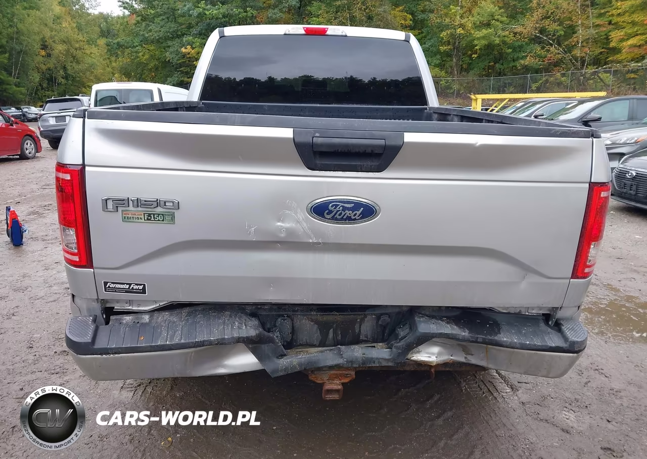 2017 Ford F-150 Xl VIN:1FTEX1EPXHFC74540 - 18