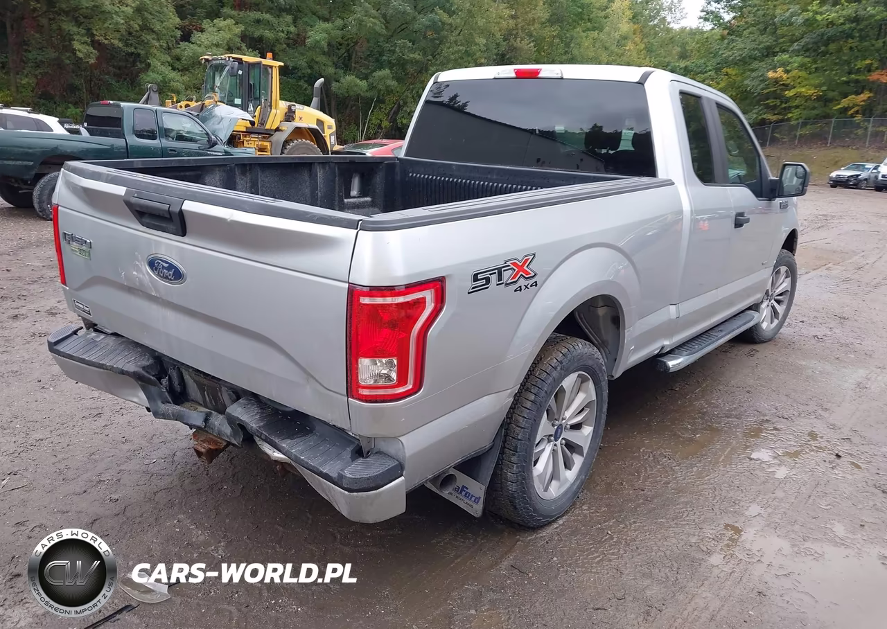 2017 Ford F-150 Xl VIN:1FTEX1EPXHFC74540 - 19