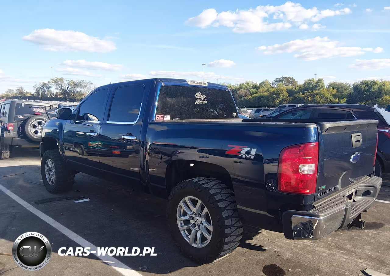 2010 Chevrolet Silverado 1500 Lt VIN:3GCRKSE31AG248836 - 13