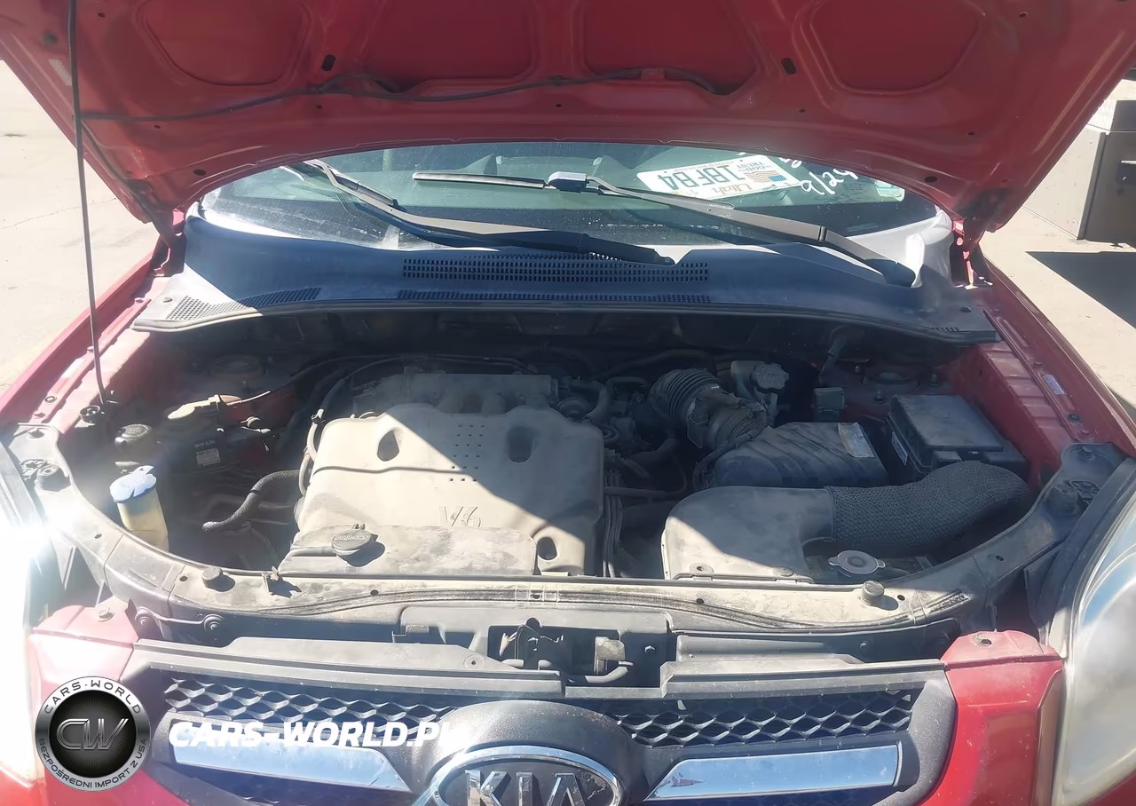 2009 Kia Sportage Lx V6 VIN:KNDJE723997563798 - 10