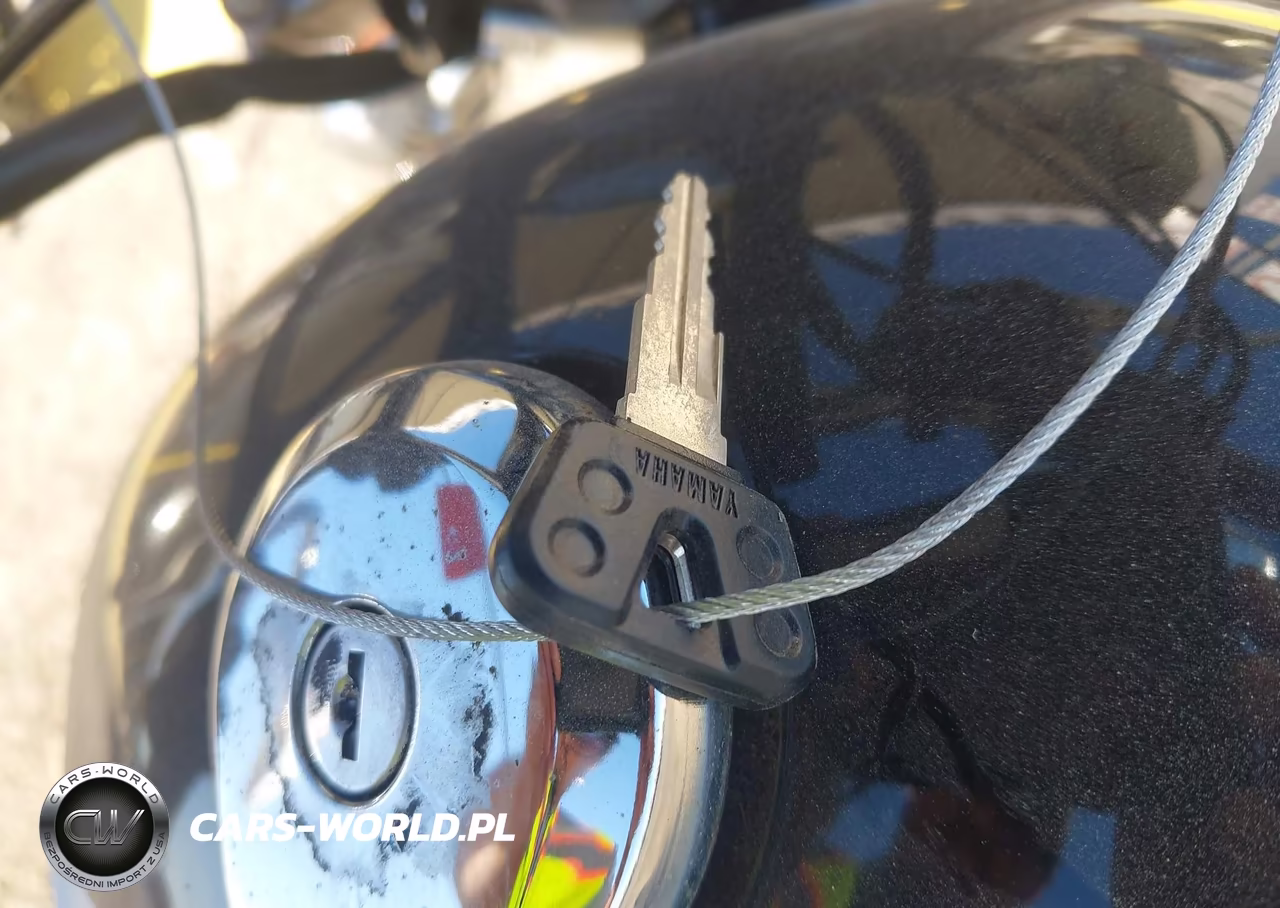2015 Yamaha Xv250 C VIN:JYAVG04Y2FA002154 - 11