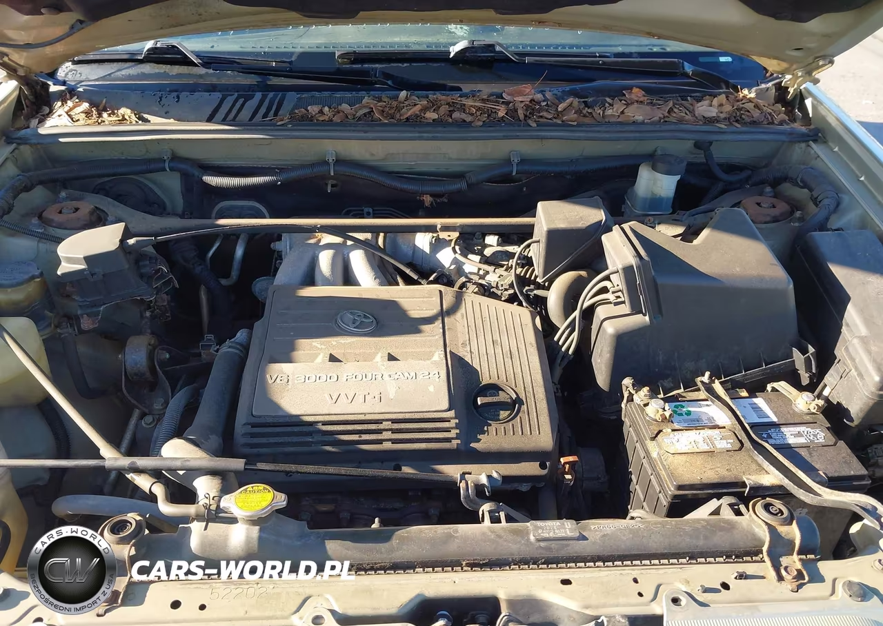 2003 Toyota Highlander V6 VIN:JTEGF21A930089793 - 10