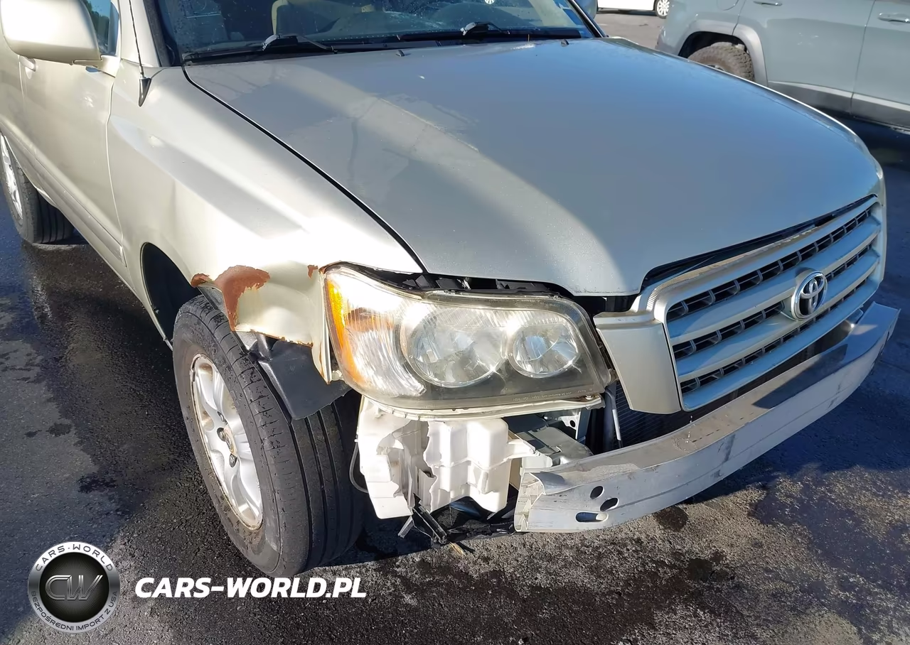 2003 Toyota Highlander V6 VIN:JTEGF21A930089793 - 6