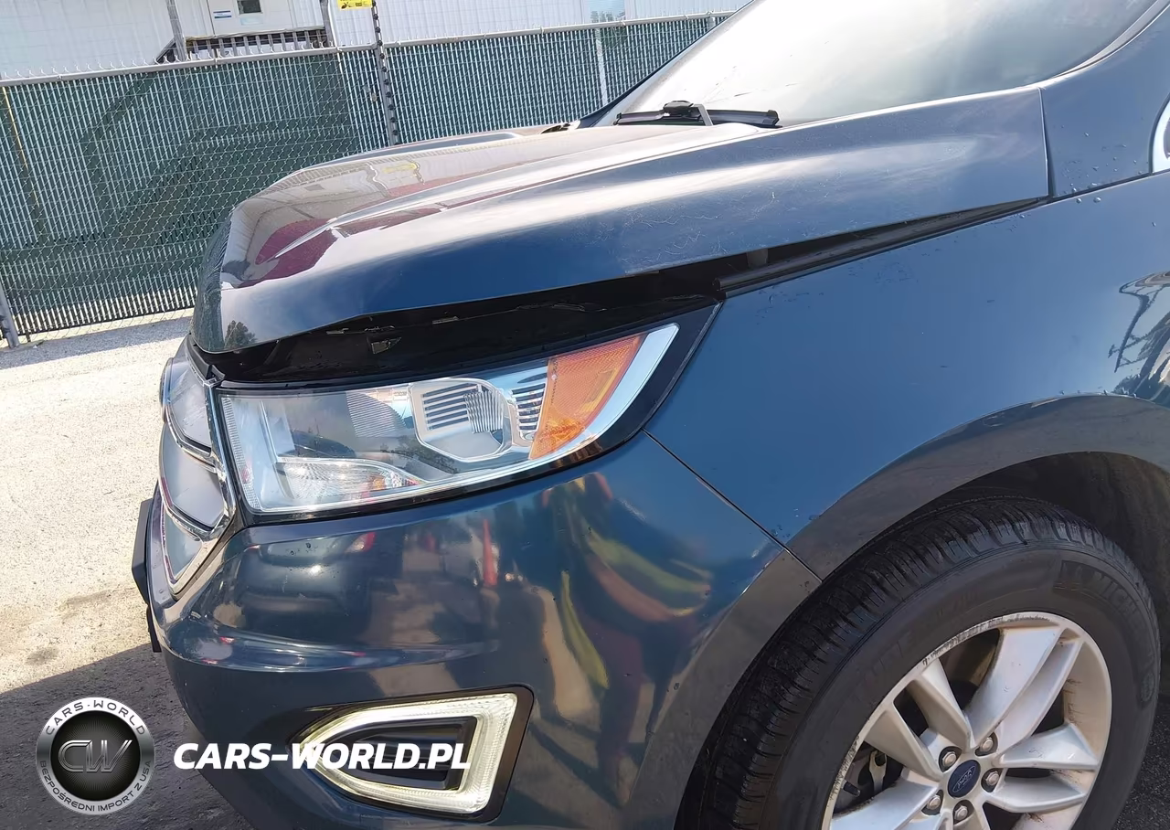 2016 Ford Edge Sel VIN:2FMPK4J96GBB46856 - 17