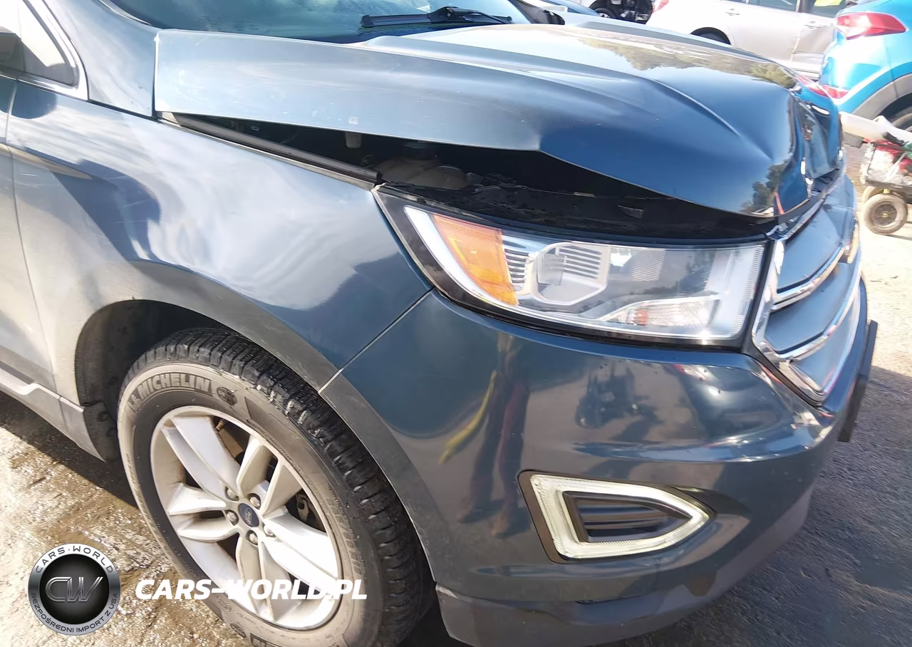 2016 Ford Edge Sel VIN:2FMPK4J96GBB46856 - 18