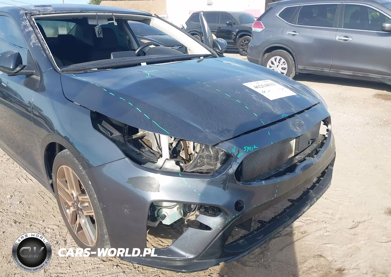 2019 Kia Forte S VIN:3KPF34AD3KE081712 - 6