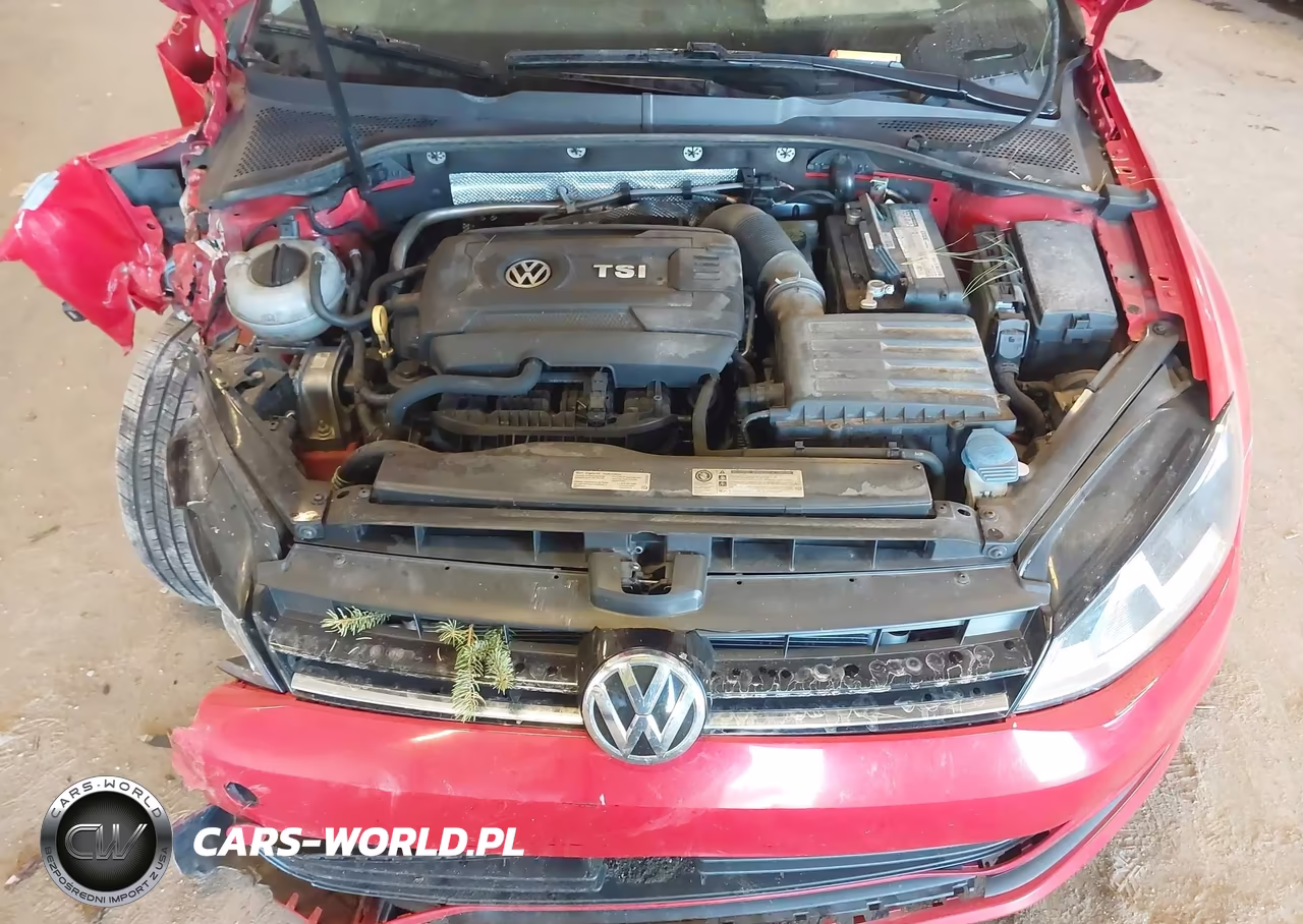 2017 Volkswagen Golf Tsi S 4-Door-Tsi Se 4-Door-Tsi Sel 4-Door-Tsi Wolfsburg Edition 4-Door VIN:3VW217AU7HM037052 - 10