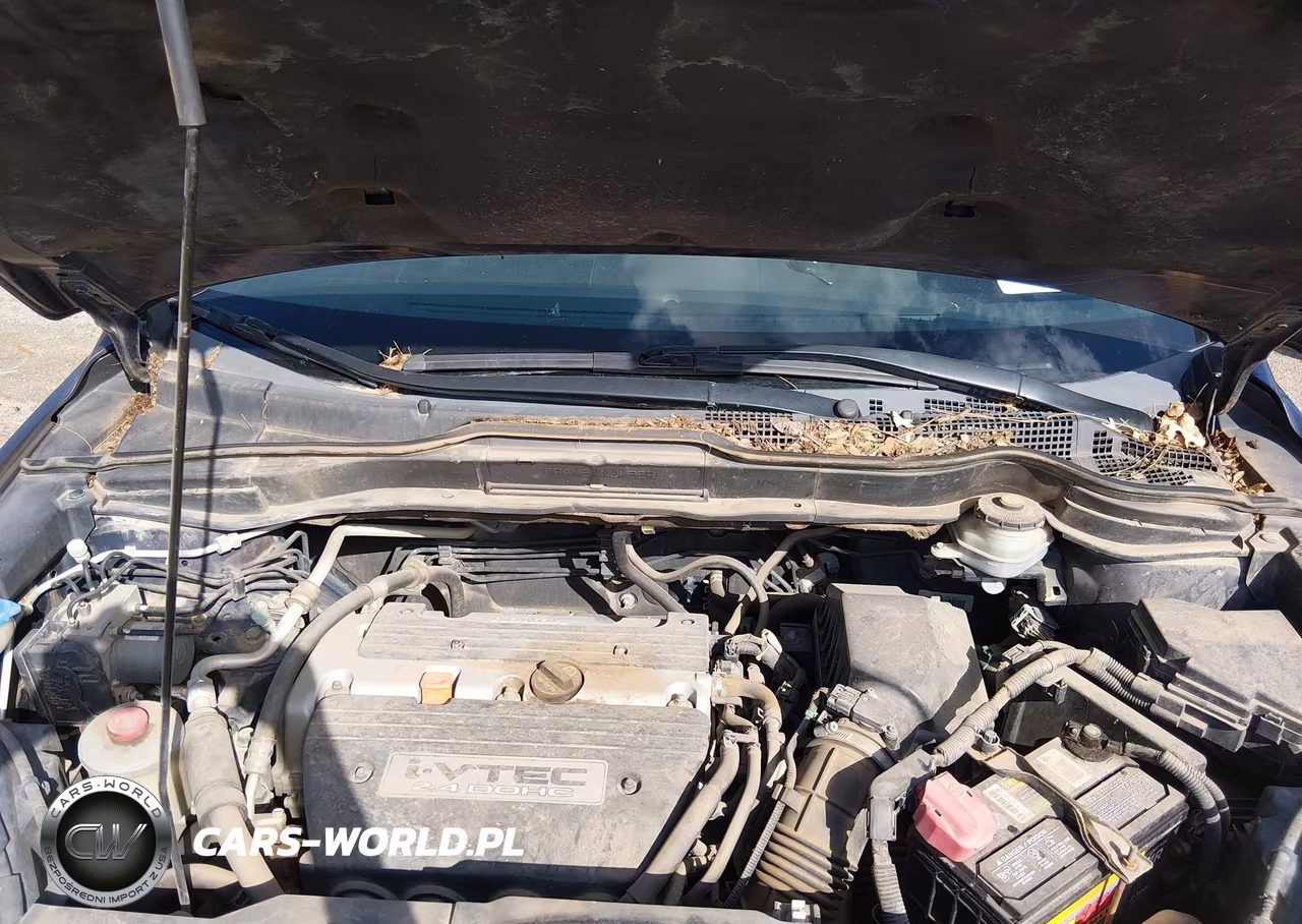 2008 Honda Cr-V Lx VIN:3CZRE38388G701590 - 10