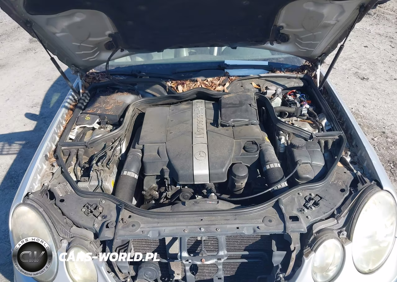 2003 Mercedes-Benz E 320 VIN:WDBUF65J23A133117 - 10