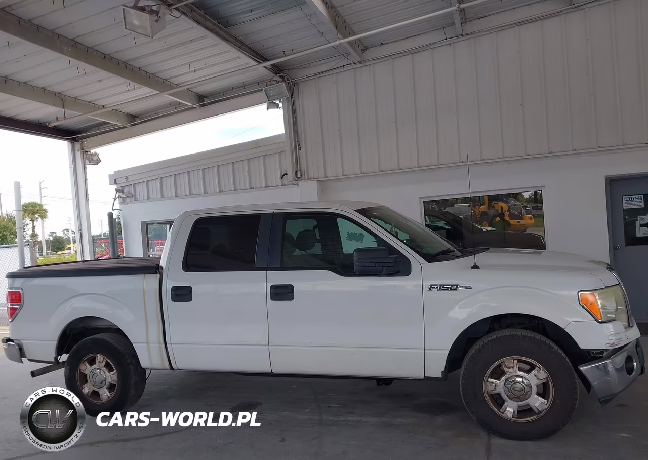 2013 Ford F-150 Xlt VIN:1FTEW1CM0DFA47699 - 13