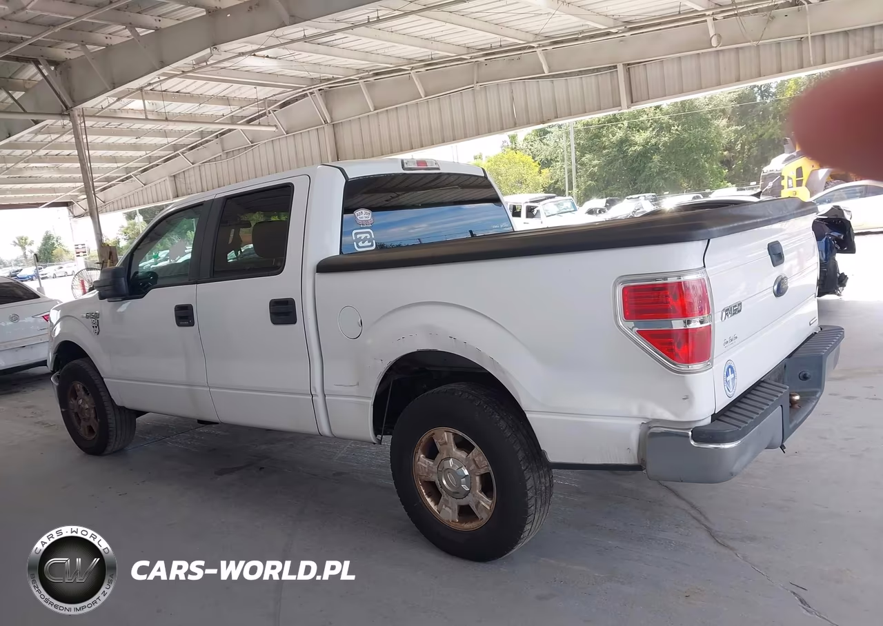 2013 Ford F-150 Xlt VIN:1FTEW1CM0DFA47699 - 14