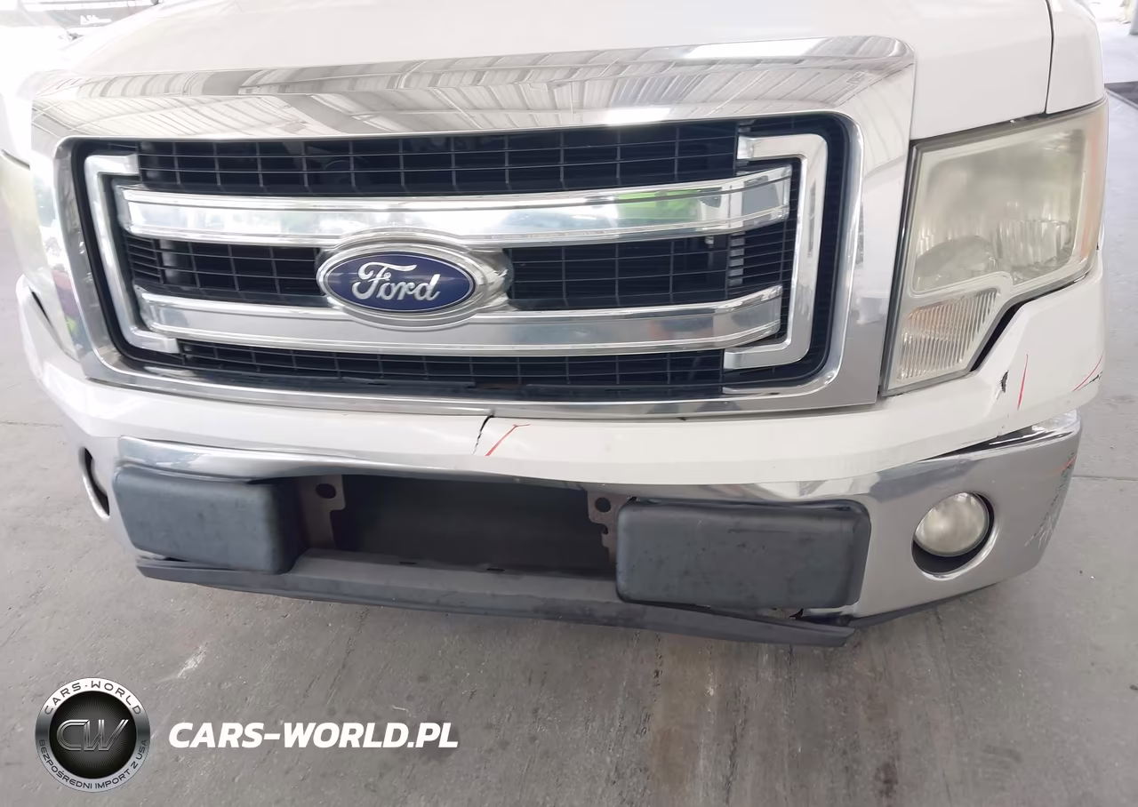 2013 Ford F-150 Xlt VIN:1FTEW1CM0DFA47699 - 18