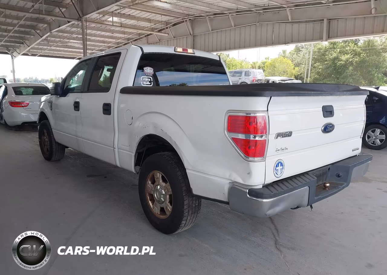 2013 Ford F-150 Xlt VIN:1FTEW1CM0DFA47699 - 3